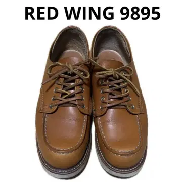 레드윙 아이리쉬 세터 개택 9895