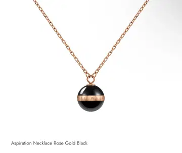 Daniel Wellington Aspiration Necklace