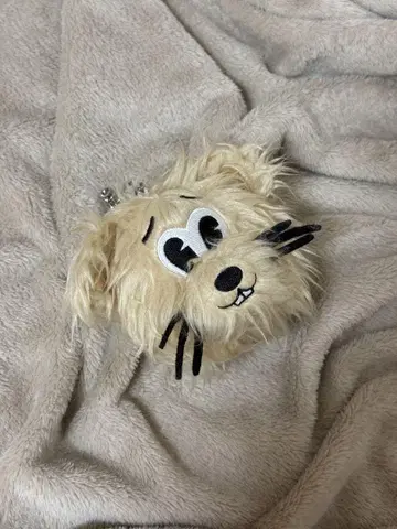SKZ 스키츄 백참