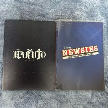 쿄모토 타이카 팜플렛 2권