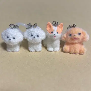 모코푸와 강아지 표시 액세서리 비숑 프리제 코기 푸들