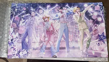 파라라이 5주년 캔버스 보드 VISTY visty