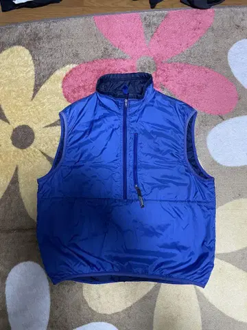 Patagonia 퍼프볼 베스트