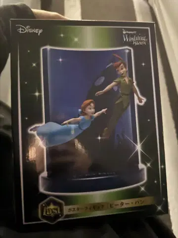 Disney 위싱스타즈 피터팬
