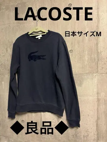 고품질 LACOSTE 네이비 크루넥 트레이닝복 일본 사이즈 M