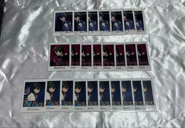 카게히라 미카 기념 파샤코레 파샤츠