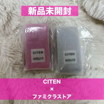 CITEN x 패밀리클로젯 스토어 립 케이스 PUNK SILVER