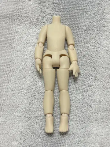 아존 피코니모 P 인형 바디