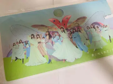 너에게 혼난 사진 앨범