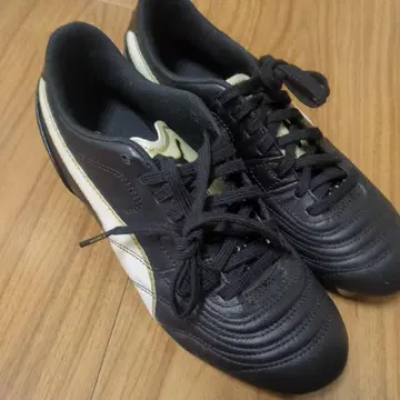 파라메히코 라이트 23.5cm