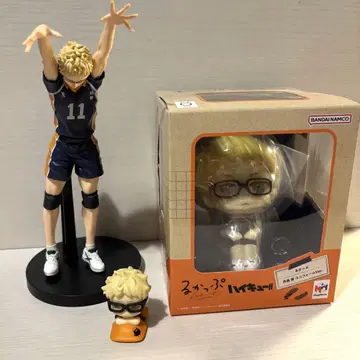 하이큐 룩업 츠키시마 케이