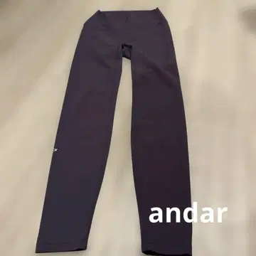 andar 다크 퍼플 스트레치 레깅스