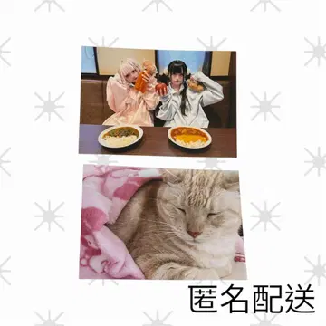 레어 미우미오 사토미우 카구라미오 고양이 브로마이드