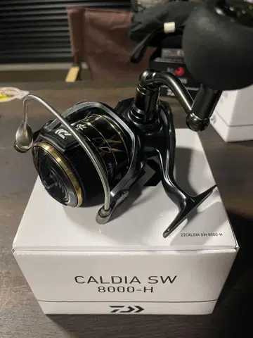 DAIWA CALDIA SW 8000-H 스피닝 릴