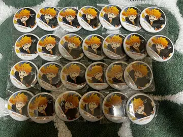 하이큐 캔뱃지 히나타 쇼요