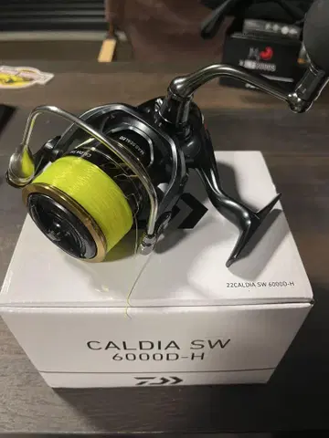 DAIWA CALDIA SW 6000D-H 스피닝 릴