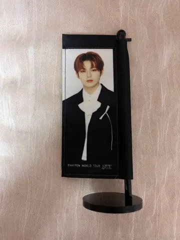 ENHYPEN 선우 FATE 스탠드