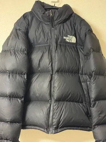 THE NORTH FACE 블랙 다운 자켓