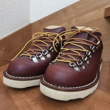 Danner 마운틴 리치 로우