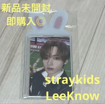 straykids 리노 리비트 트레이딩 카드 케이스 한국