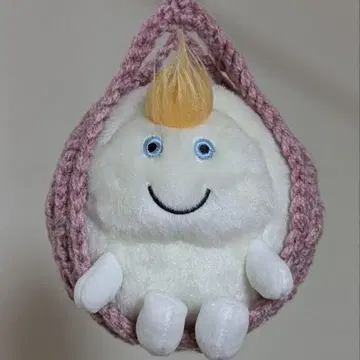 후지이 카제 윈디