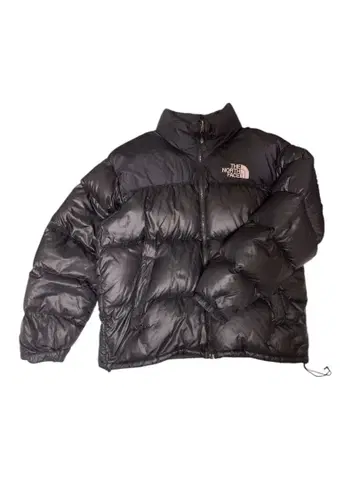 THE NORTH FACE 다운 자켓