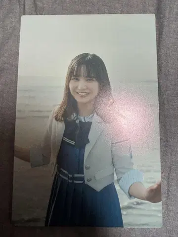 안노 소이 패널