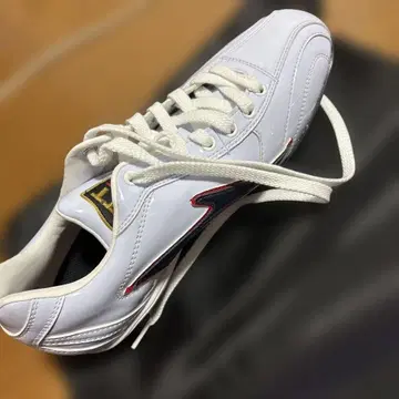 프로스테이터스 오더 스파이크