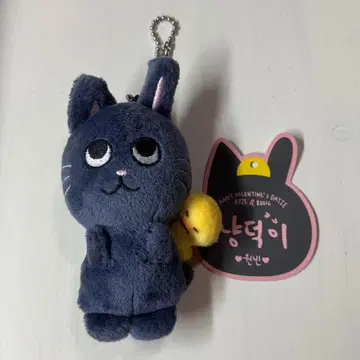 RIIZE 원빈 봉제 인형 토냥독 키링 10cm 인형