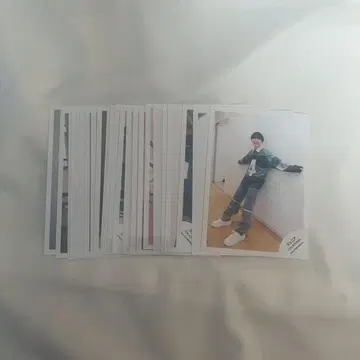 코야마 토키 묶음 판매