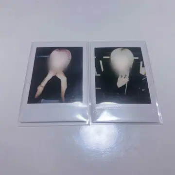 세이브 포인트 소매 폴라로이드