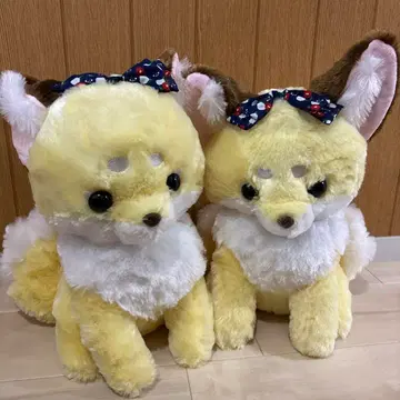 쵸콘과 구미호님 꽃 오마치 울트라 BIG 봉제 인형 호박과