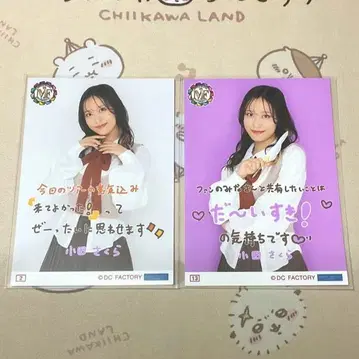 오다 사쿠라 모닝구 무스메.'25 가을 투어 콜렉션 사진 2종 세트