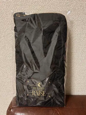 KOICHI DOMOTO RAISE 응원봉 케이스