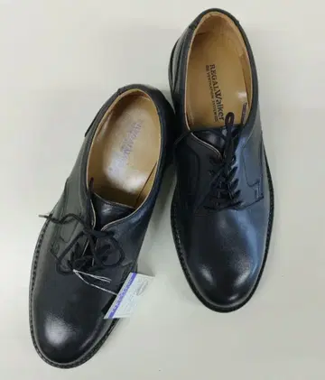 REGAL Walker Ventilation system 신발 24cm