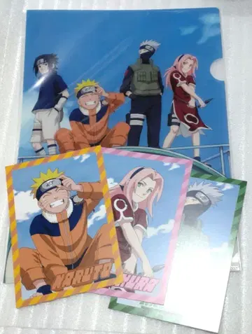 NARUTO 나루토 다이마루 클리어 파일 엽서 사스케 카카시 사쿠라