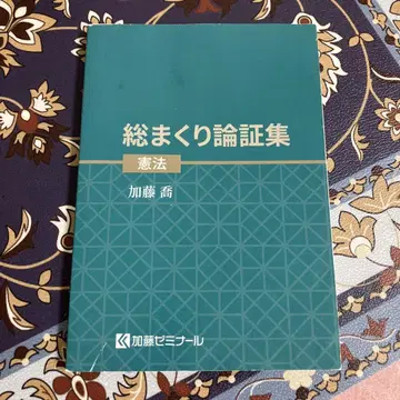총정리 논증집 헌법 카토 세미