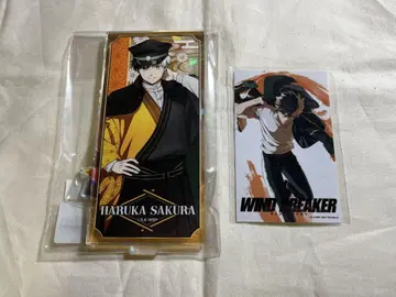 윈드브레이커 사쿠라 하루카