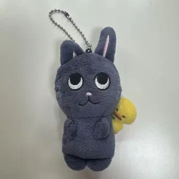 RIIZE 원빈 토냥이 봉제 인형