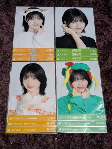 노기자카46 하야시 루나 브로마이드 4종 컴프
