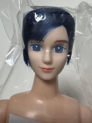 마이크 제니 프렌드 27BD 오타노시미 인형 리카짱 캐슬