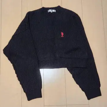 U.S. POLO ASSN. 숏 기장 니트