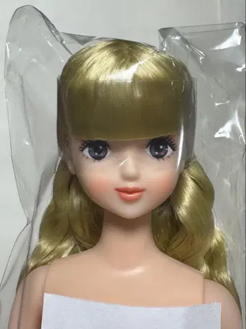 카오리 짱 제니 프렌드 27BD 오타노시미 인형 리카짱 캐슬