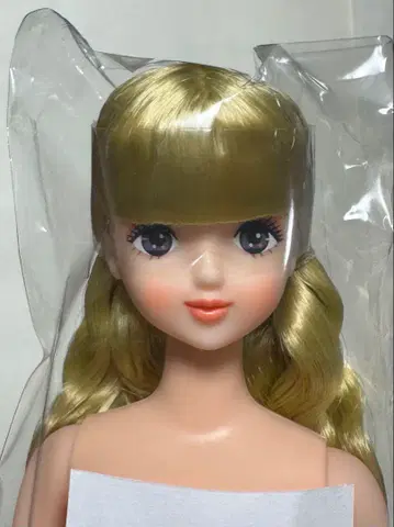 카오리 짱 제니 프렌드 27BD 오타노시미 인형 리카짱 캐슬