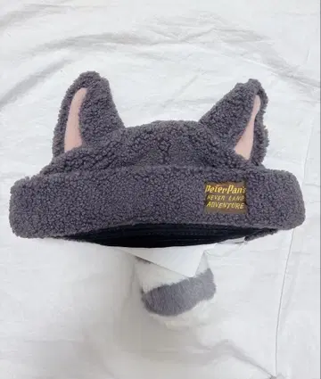 디즈니씨 피터팬 잃어버린 아이들 캡 아라이 너구리