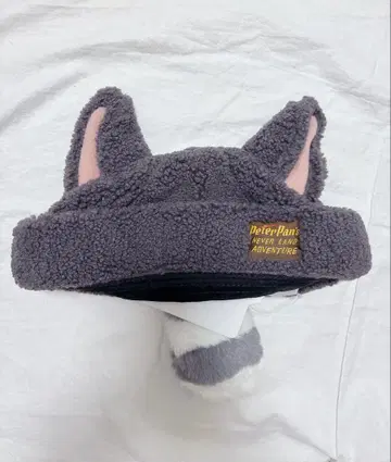 디즈니씨 피터팬 잃어버린 아이들 캡 아라이 너구리