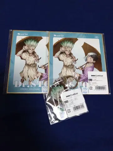 Dr.STONE 레이니데이 이시가미 센쿠 아사기리 겐