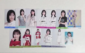 노기자카 시바타 유나 13장 세트