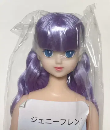 제니 프렌드 T 27BD 즐거운 인형 리카짱 캐슬 타마키