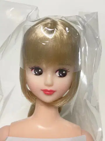 리에 제니 프렌드 27BD 오타노시미 인형 리카짱 캐슬